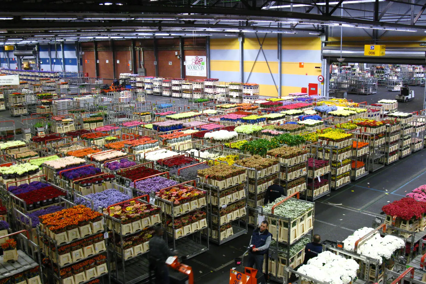 Sala de mercado mayorista de flor con lotes de distintas variedades y colores